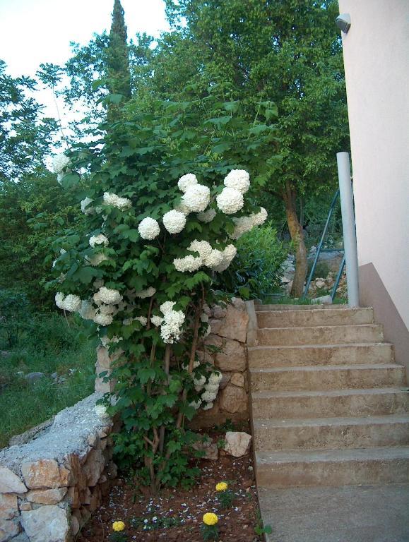 Villa Petra Međugorje Εξωτερικό φωτογραφία